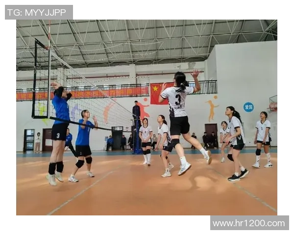 全国锦标赛回顾：杭州排球队展现卓越团队协作精神与竞技风采